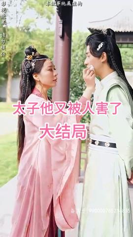 太子他又被人害了全集(大结局)