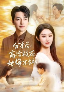 分手后高冷校花她悔不当初第1-20集