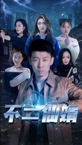 不二仙婿第1-20集