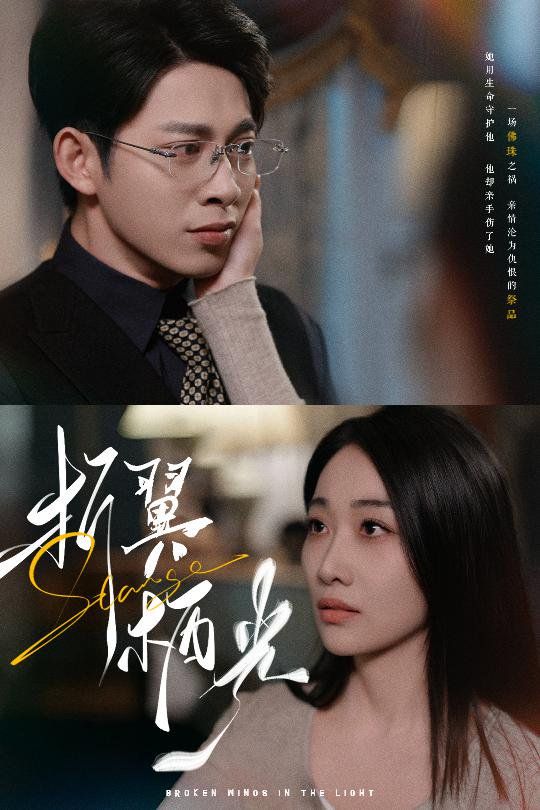 折翼栖光第1-20集