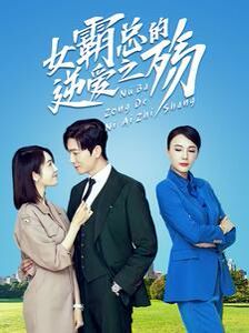 女霸总的逆爱之殇第1-20集