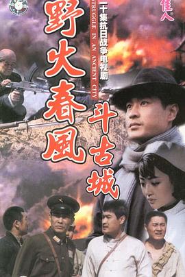 野火春风斗古城第1集