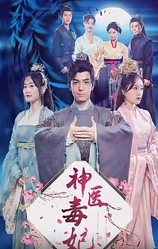 神医毒妃第41-60集