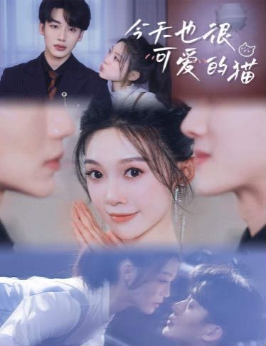 今天也很可爱的猫第1-20集