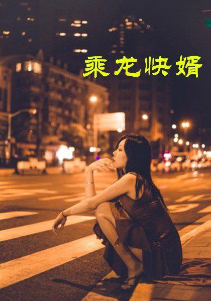 乘龙快婿全局完结(大结局)