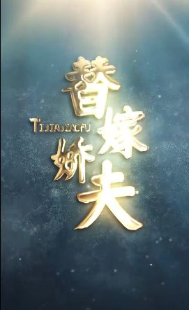 替嫁娇夫第41-60集