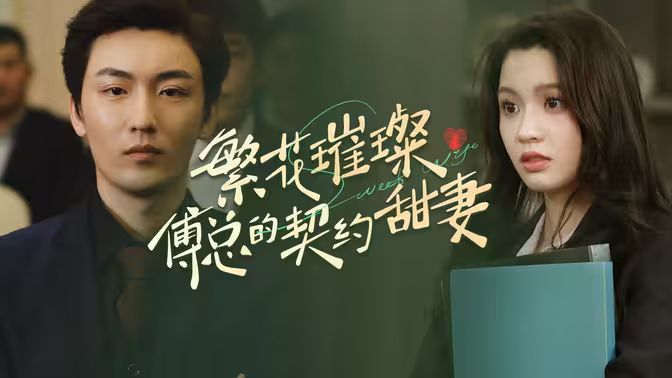 繁花璀璨傅总的契约甜妻第1-20集