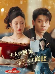 夫人靠败家走上人生巅峰第1-20集